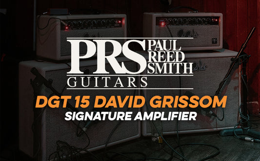  PRS | DGT 15 Amplifier Head & Cabinet